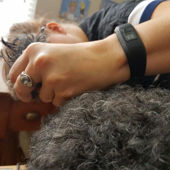 Λεπτομέρεια από κούρεμα σγουρού τριχώματος